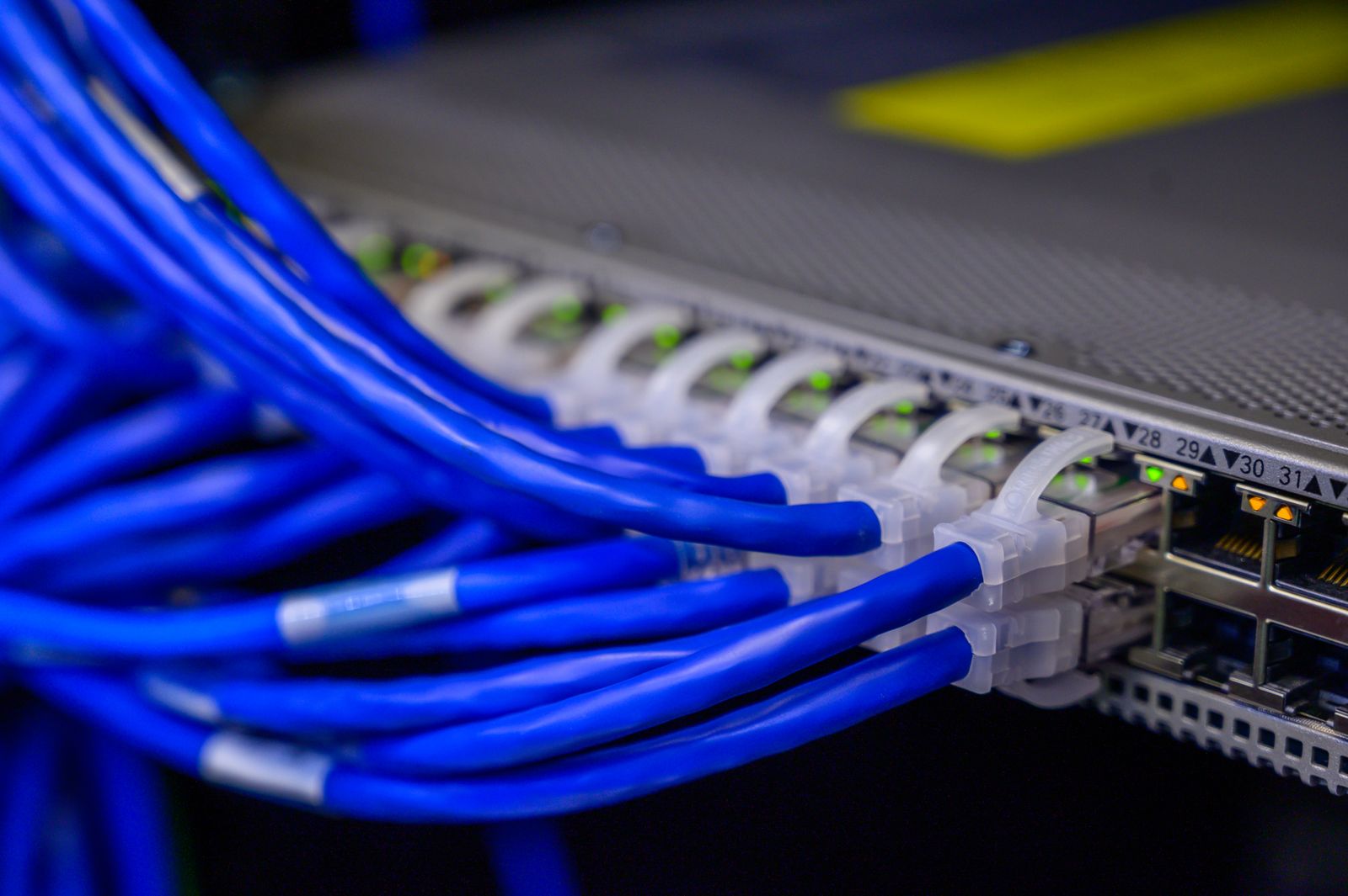 Organised Ethernet cabling plugged into a live network switch